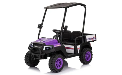 Power Wheels Golf Cart: Deep-Dive Into Technology, Safety Standards & Market Trends
